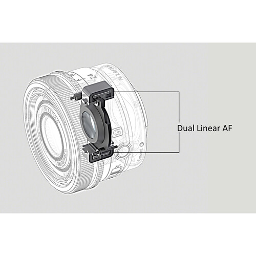 1629206300_IMG_1508219